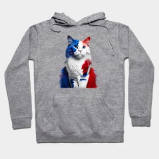 [AI Art] Red, blue and white fluffy Kitty Cat Hoodie